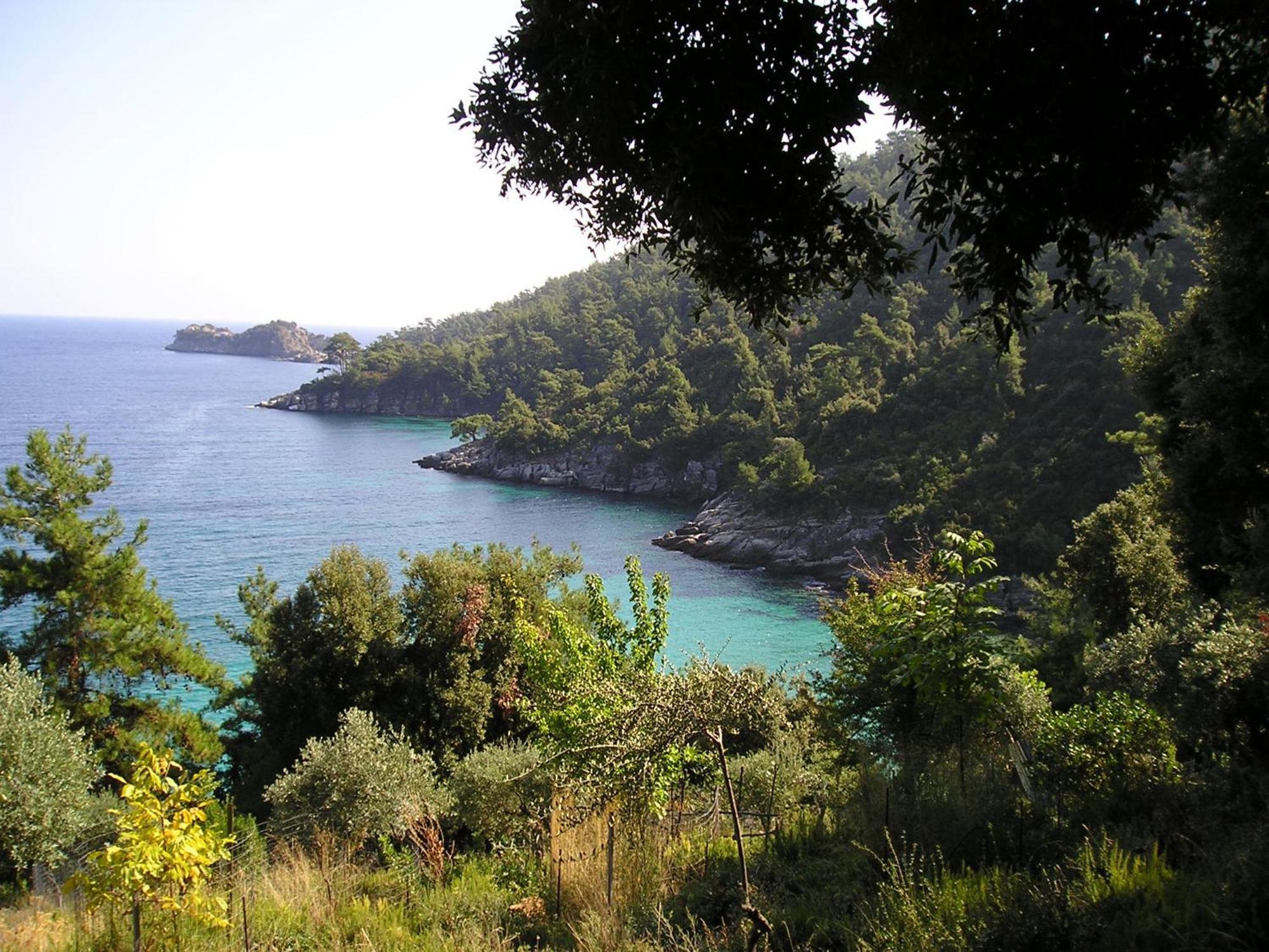 Golden Beach Inn Chrysi Ammoudia Bagian luar foto
